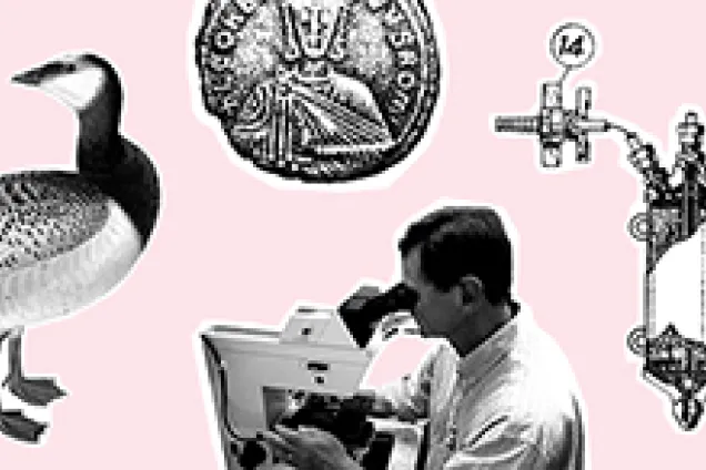 open journals at Lund University