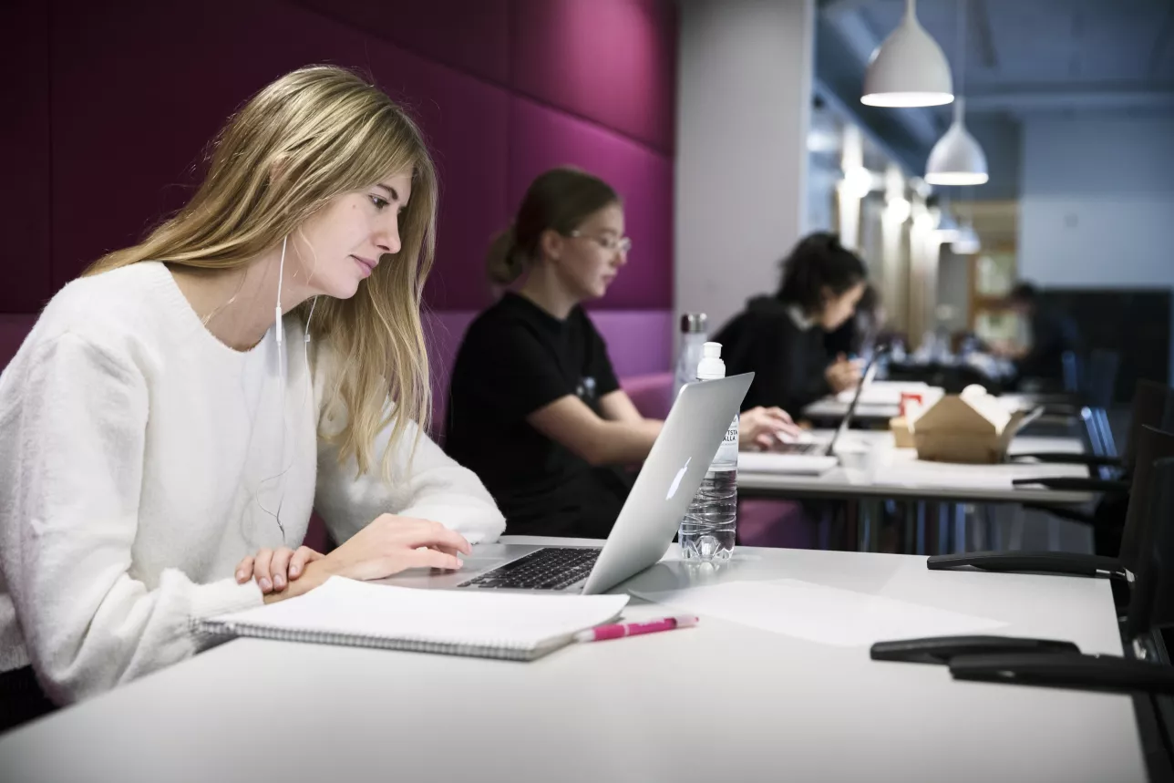 Students sitting with computer. Photo Johan Bävman